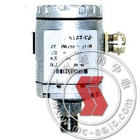DBS338,׃