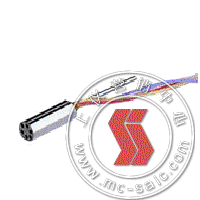 NS-1,С͉