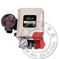 EP1000(ZPD-2000),-yTλ