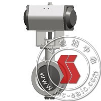 ZSHW-10SB,(dng)y