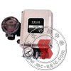 EP1000(ZPD-2000),-yTλ