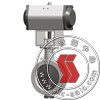 ZSSW-10DB,(dng)y