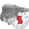 YPK-31,