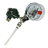 WSS-481,ż/ض׃pٜضӋ(j)